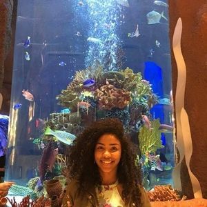 Meet your Posher, Rebecca